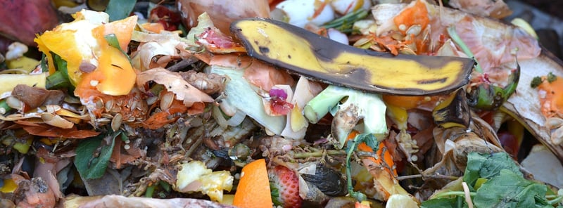 Composting Organic Waste